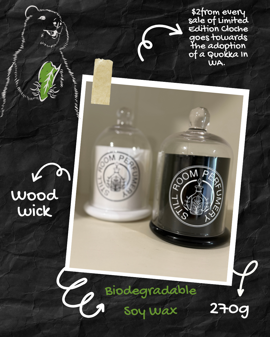 Masculine Energy Wood Wick Limited Edition Cloche Candle 270g