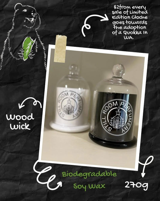 Caramel Tonka Wood Wick Limited Edition Cloche Candle 270g