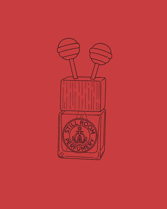 Australian Wildflower Car / Small Room Diffuser