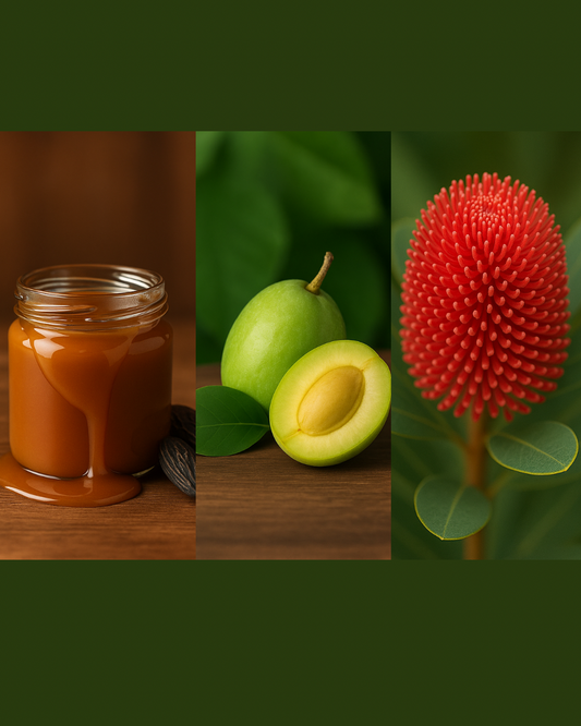 Trio scents Box - 3 x 50g Candle Caramel Tonka, Kakadu Plum, Australian Wildflower
